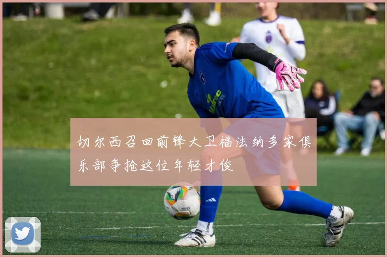 切尔西召回前锋大卫福法纳多家俱乐部争抢这位年轻才俊