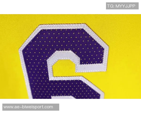 詹姆斯首秀纪念补丁国王球衣致敬传奇时刻